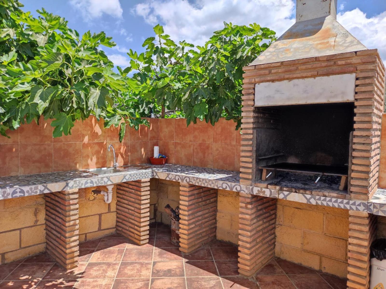 Los Olivos マラガ エクステリア 写真